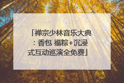 禅宗少林音乐大典：香包 福粽+沉浸式互动巡演全免费