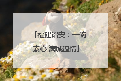福建诏安：一碗素心 满城温情