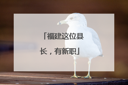 福建这位县长，有新职