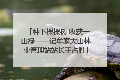 种下棵棵树 收获一山绿——记牟家大山林业管理站站长王占胜
