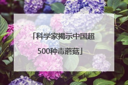 科学家揭示中国超500种毒蘑菇