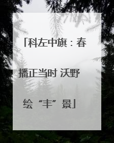 科左中旗：春播正当时 沃野绘“丰”景