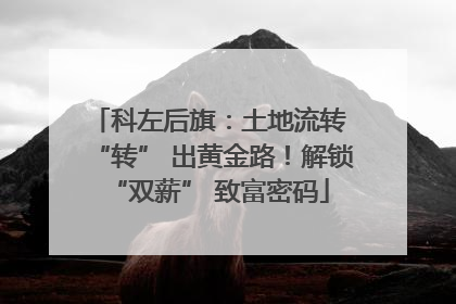 科左后旗：土地流转 “转” 出黄金路！解锁 “双薪” 致富密码