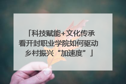 科技赋能+文化传承 看开封职业学院如何驱动乡村振兴“加速度”