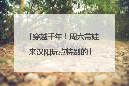 穿越千年！周六带娃来汉阳玩点特别的
