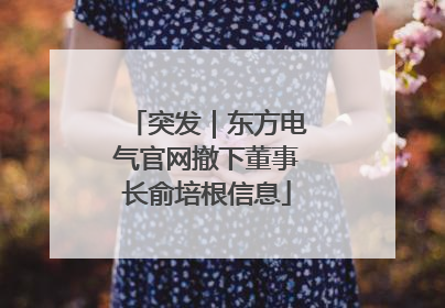 突发｜东方电气官网撤下董事长俞培根信息