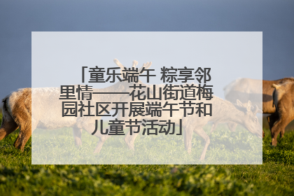 童乐端午 粽享邻里情——花山街道梅园社区开展端午节和儿童节活动