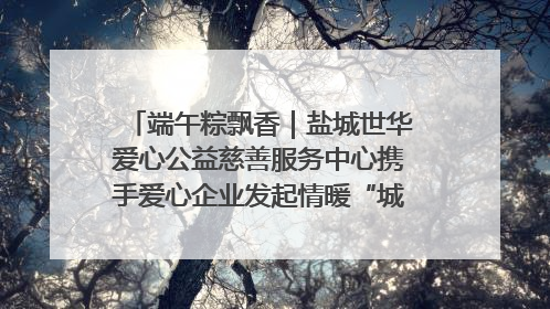 端午粽飘香｜盐城世华爱心公益慈善服务中心携手爱心企业发起情暖“城市守护者”慰问活动