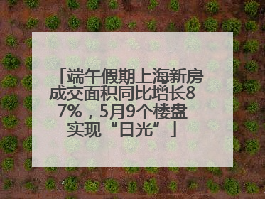 端午假期上海新房成交面积同比增长87%，5月9个楼盘实现“日光”