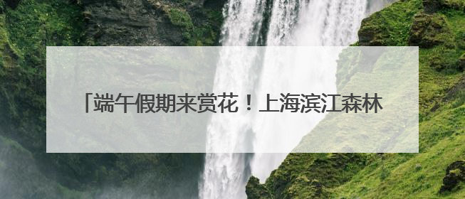 端午假期来赏花！上海滨江森林公园绣球花展5月31日开幕