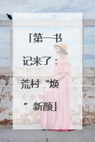 第一书记来了：荒村“焕”新颜