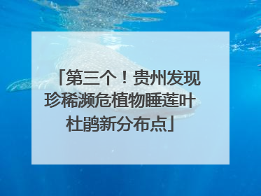 第三个！贵州发现珍稀濒危植物睡莲叶杜鹃新分布点