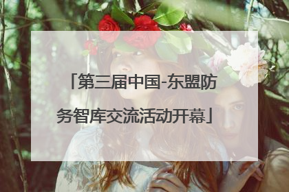 第三届中国-东盟防务智库交流活动开幕
