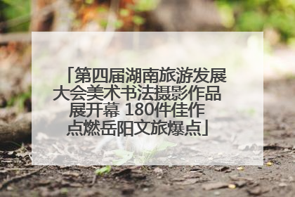 第四届湖南旅游发展大会美术书法摄影作品展开幕 180件佳作点燃岳阳文旅爆点