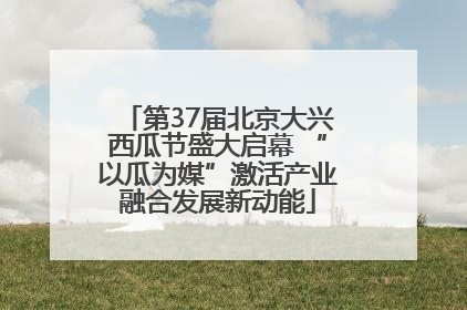 第37届北京大兴西瓜节盛大启幕 “以瓜为媒”激活产业融合发展新动能