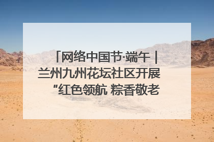 网络中国节·端午｜兰州九州花坛社区开展“红色领航 粽香敬老”端午主题活动