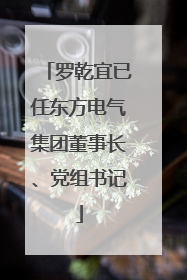 罗乾宜已任东方电气集团董事长、党组书记