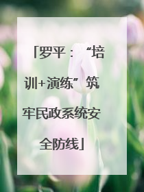 罗平：“培训+演练”筑牢民政系统安全防线