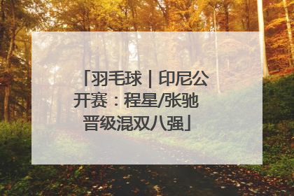 羽毛球｜印尼公开赛：程星/张驰晋级混双八强