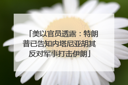 美以官员透露：特朗普已告知内塔尼亚胡其反对军事打击伊朗