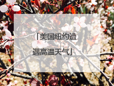 美国纽约遭遇高温天气