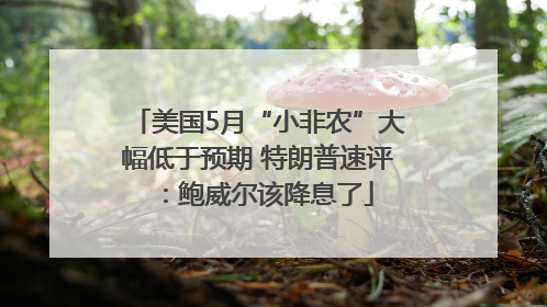 美国5月“小非农”大幅低于预期 特朗普速评：鲍威尔该降息了