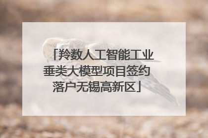 羚数人工智能工业垂类大模型项目签约落户无锡高新区