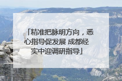 精准把脉明方向，悉心指导促发展 成都经实中迎调研指导