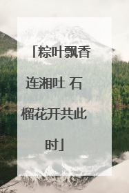 粽叶飘香连湘吐 石榴花开共此时