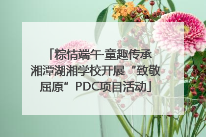 粽情端午·童趣传承 湘潭湖湘学校开展“致敬屈原”PDC项目活动