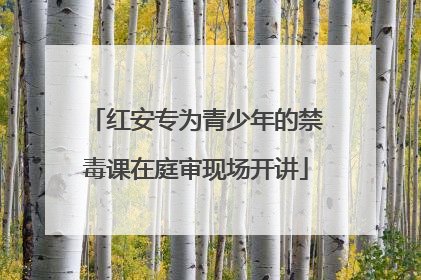 红安专为青少年的禁毒课在庭审现场开讲