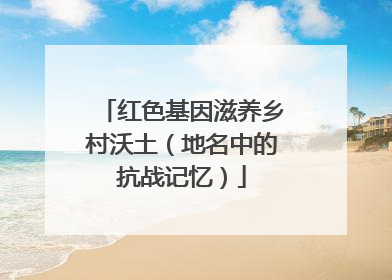 红色基因滋养乡村沃土（地名中的抗战记忆）
