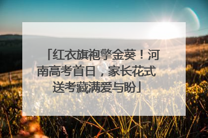 红衣旗袍擎金葵！河南高考首日，家长花式送考藏满爱与盼