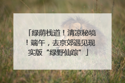 绿荫栈道！清凉秘境！端午，去京郊遇见现实版“绿野仙踪”