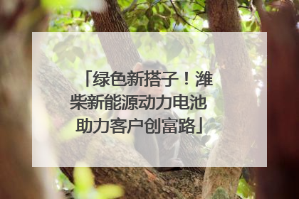 绿色新搭子！潍柴新能源动力电池助力客户创富路