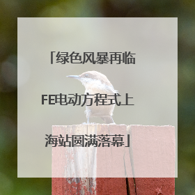 绿色风暴再临 FE电动方程式上海站圆满落幕