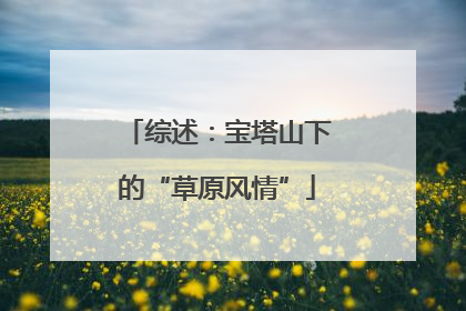 综述：宝塔山下的“草原风情”