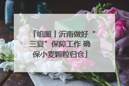 组图丨沂南做好“三夏”保障工作 确保小麦颗粒归仓