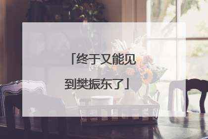 终于又能见到樊振东了