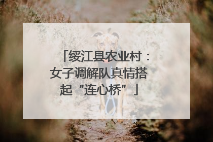 绥江县农业村：女子调解队真情搭起“连心桥”