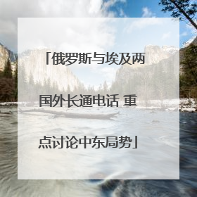 俄罗斯与埃及两国外长通电话 重点讨论中东局势