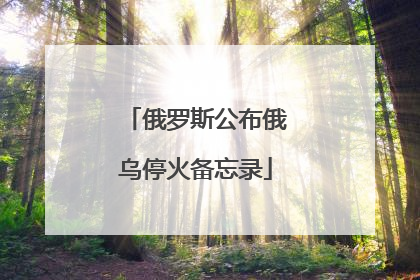 俄罗斯公布俄乌停火备忘录