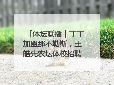 体坛联播｜丁丁加盟那不勒斯，王皓先农坛体校招聘笔试第一