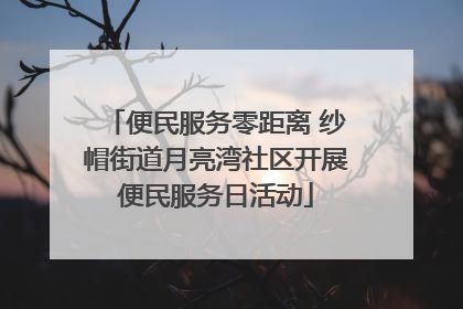 便民服务零距离 纱帽街道月亮湾社区开展便民服务日活动