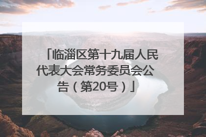 临淄区第十九届人民代表大会常务委员会公告（第20号）