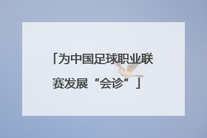 为中国足球职业联赛发展“会诊”
