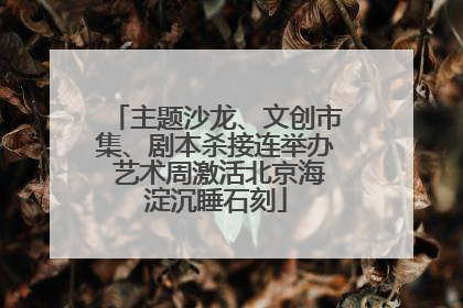 主题沙龙、文创市集、剧本杀接连举办 艺术周激活北京海淀沉睡石刻