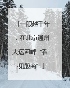 一眼越千年：在北京通州大运河畔“看·见殷商”