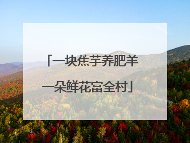 一块蕉芋养肥羊 一朵鲜花富全村
