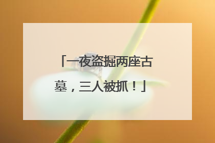 一夜盗掘两座古墓，三人被抓！